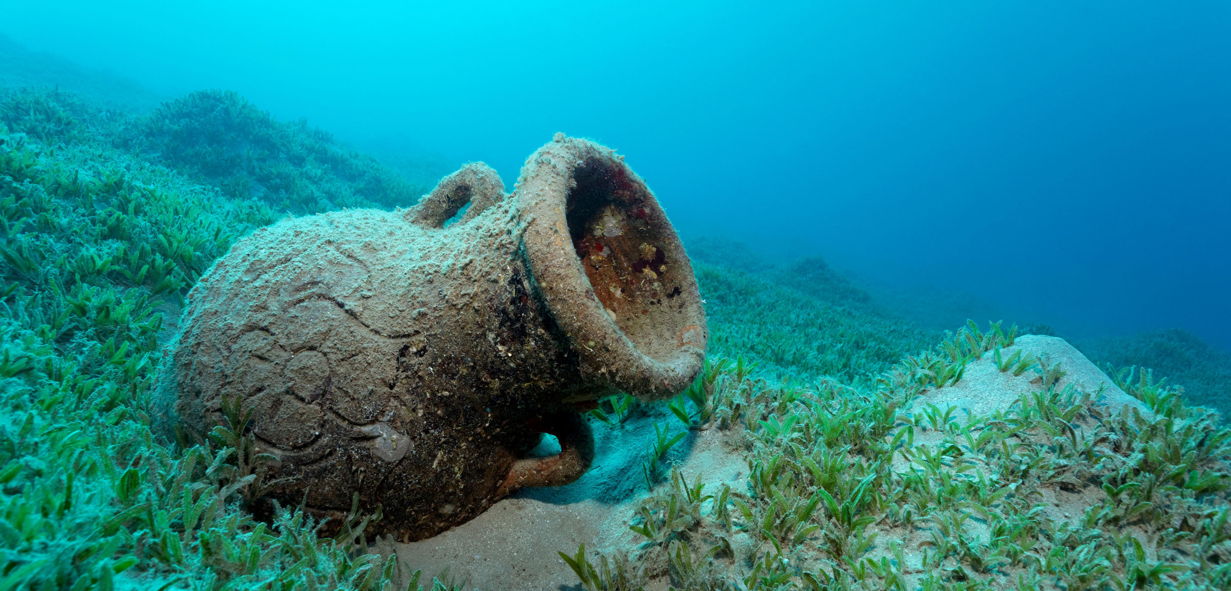 Seagrass meadows can form a protective blanket over underwater archaeological sites, helping preserve artifacts such as this amphora found in the Red Sea near Hurghada, Egypt. Photo by Imagebroker/Alamy Stock Photo