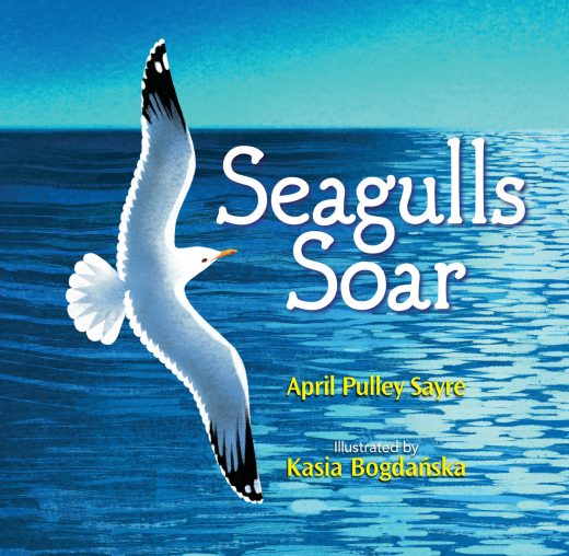 cover of Seagulls Soar
